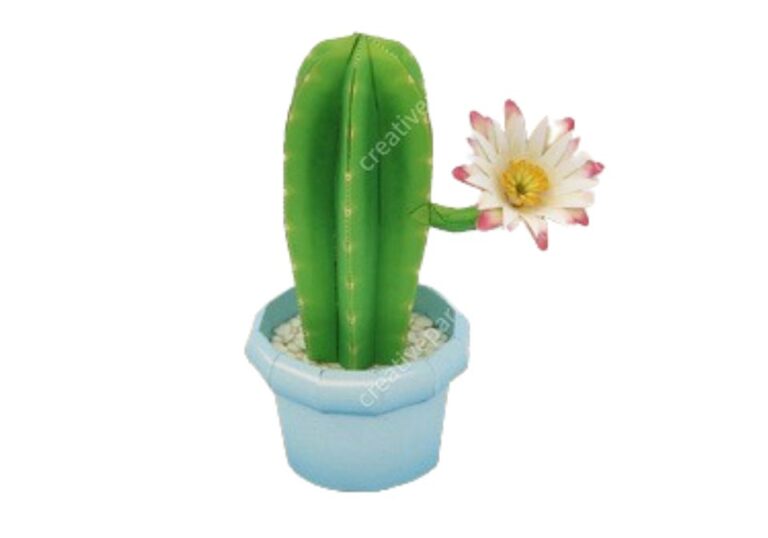 Papercraft de Cactus